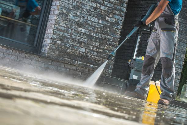 Best Roof Cleaning and Mildew Removal in Onalaska, WI