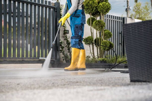 Best Soft Washing for Delicate Surfaces in Onalaska, WI